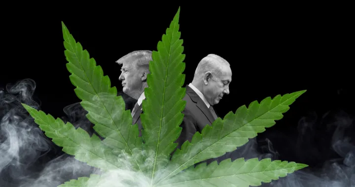 Kolumna Bo&scaron;ka Jak&scaron;ića: Trumpove i Netanyahuove grudve ha&scaron;i&scaron;a/Ilustracija/Benjamin Krnić