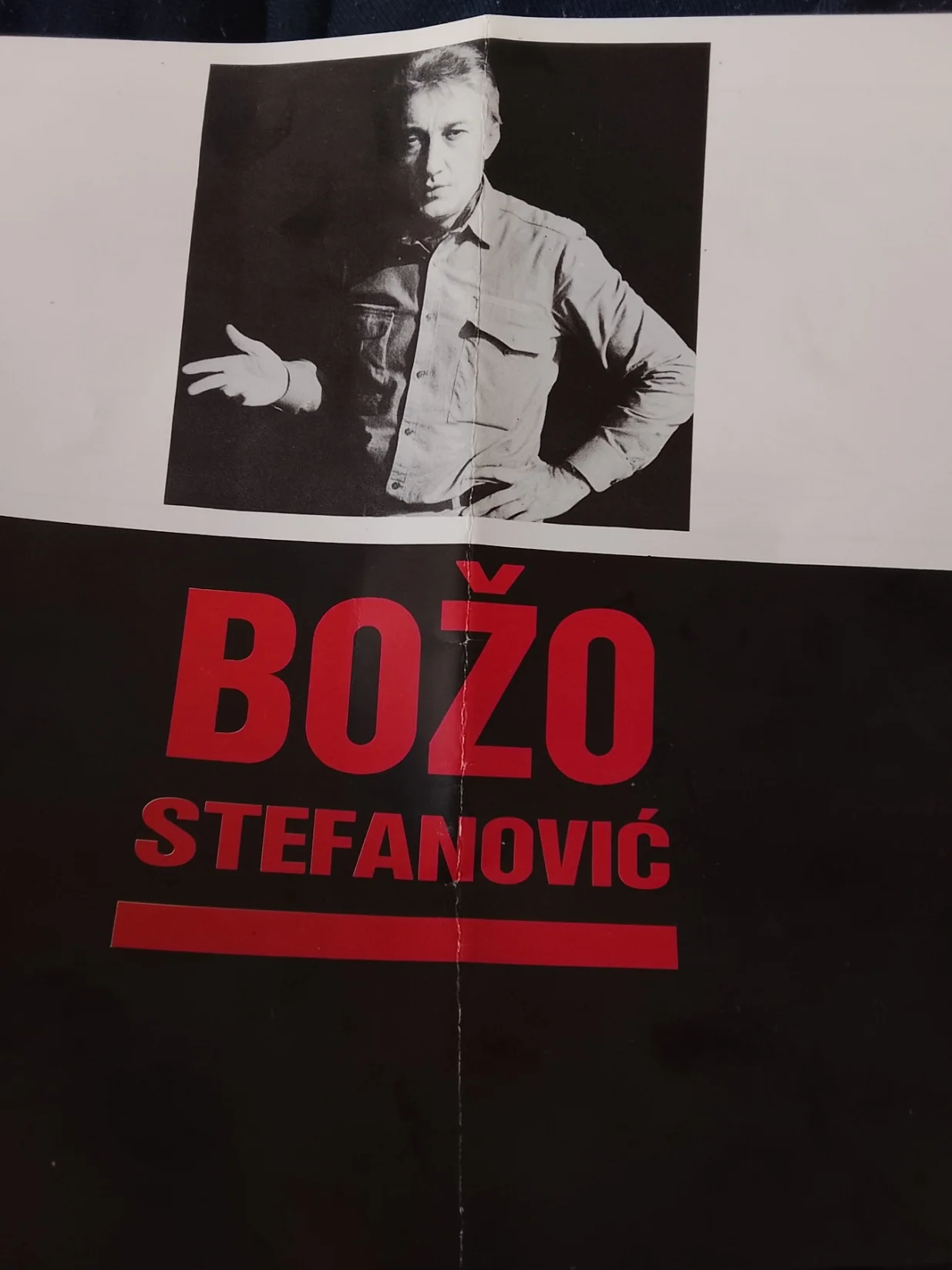 Karikatura Bože Stefanovića/