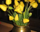 Tulipani u vazi/