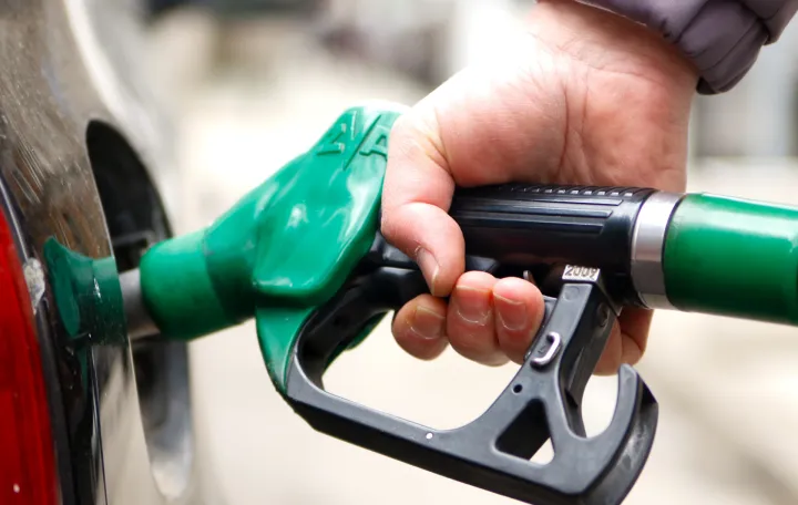 Gorivo ilustracije/Damir Deljo