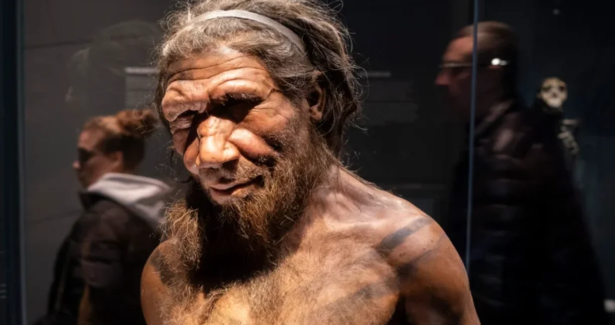 Studija objavljena u časopisu Science/Mike Kamp/