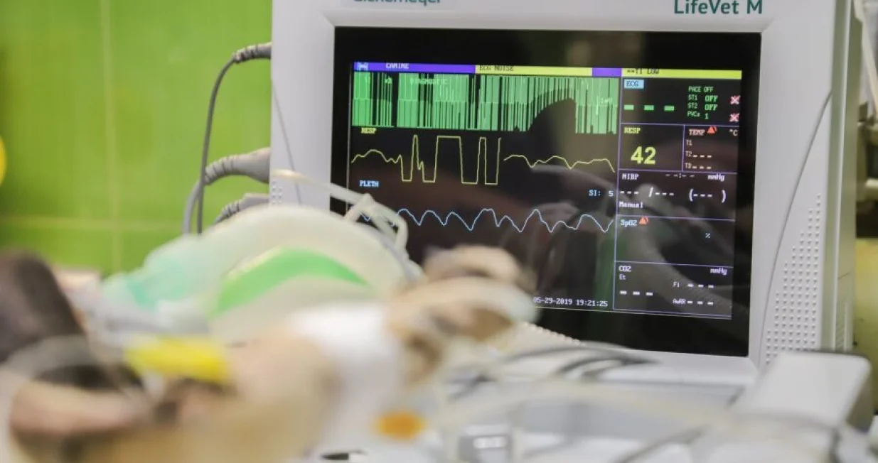 Kardiovaskularne bolesti/