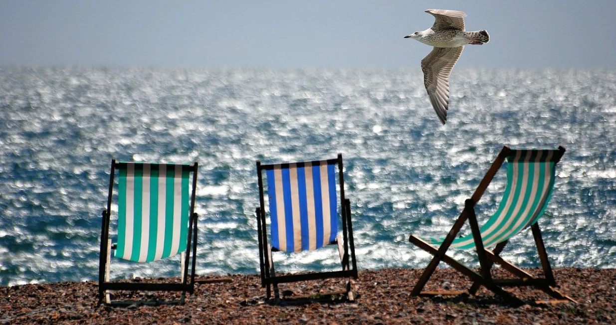 galebovi ilustracija/