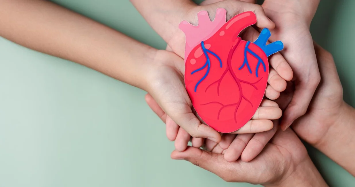 Ovaj vitamin je ključan za zdravlje srca, prema kardiolozima/ Canva/Amir9937