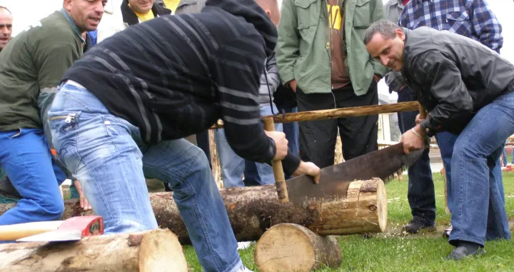 USK Sume - borba za trupce/