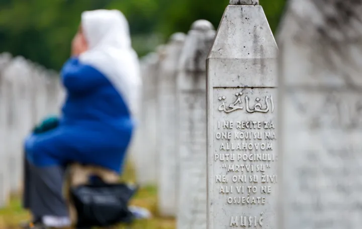 galerija Potočari 2025/Damir Deljo