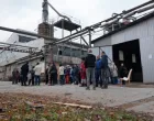Nova Borja, radnici/