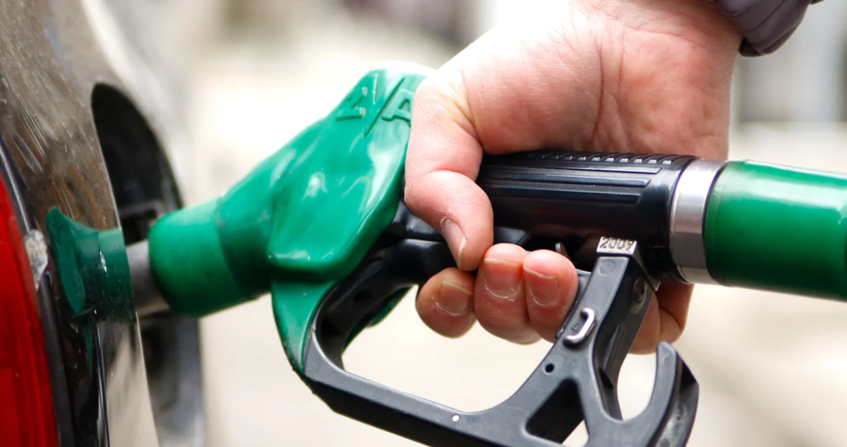 Gorivo ilustracije/Damir Deljo