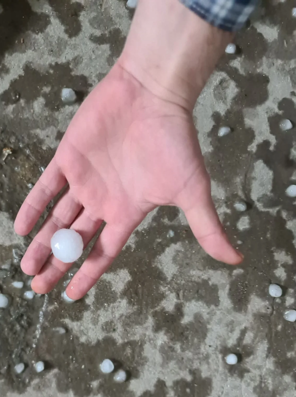 Led donio nove &scaron;tete/