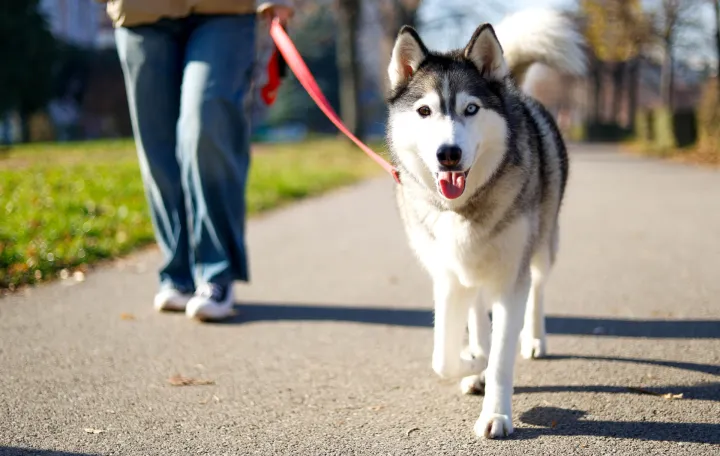 November 2025 sunčano vrijeme/Damir Deljo