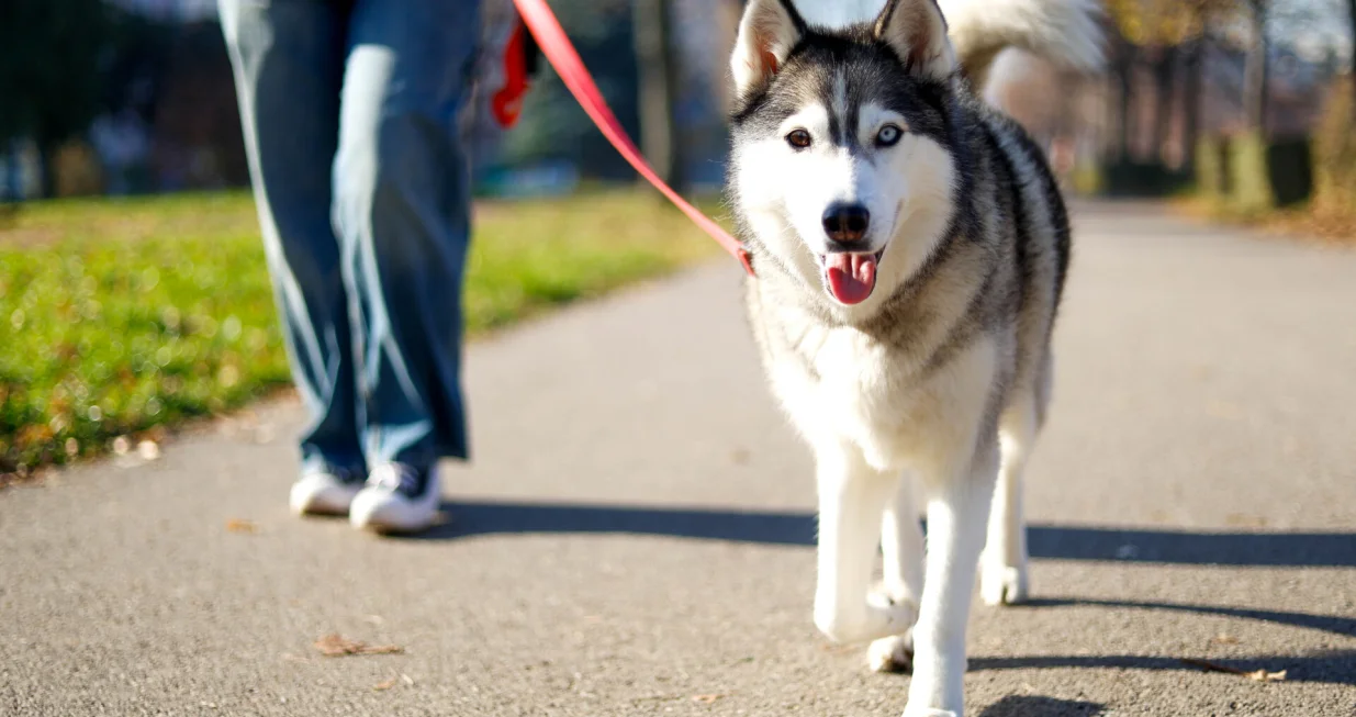 November 2025 sunčano vrijeme/Damir Deljo