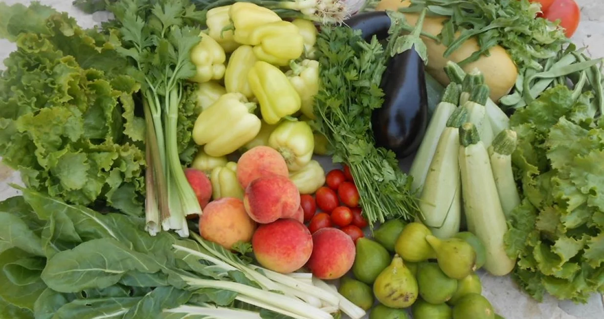 Jasmina Ću&scaron;ić iz Mostara - ekolo&scaron;ka proizvodnja domaćeg voća i povrća pod nazivom Eko-Jasmina/