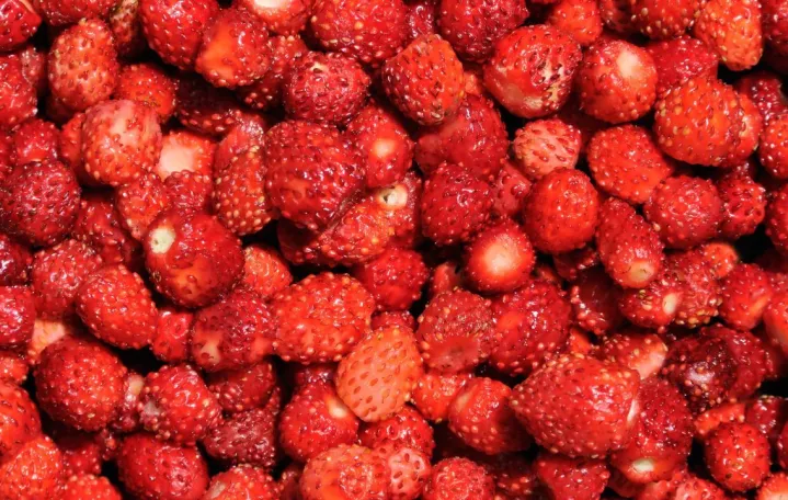 Neodoljive ali preskupe/