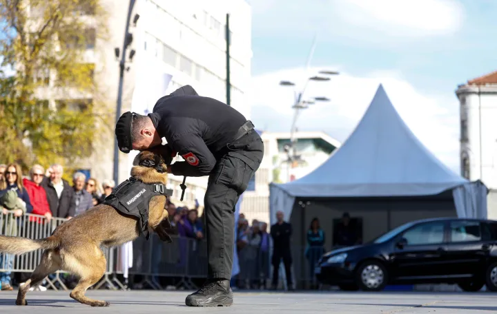 prezentacijs vje&scaron;tina K9 jedinica iz BiH/Damir Deljo