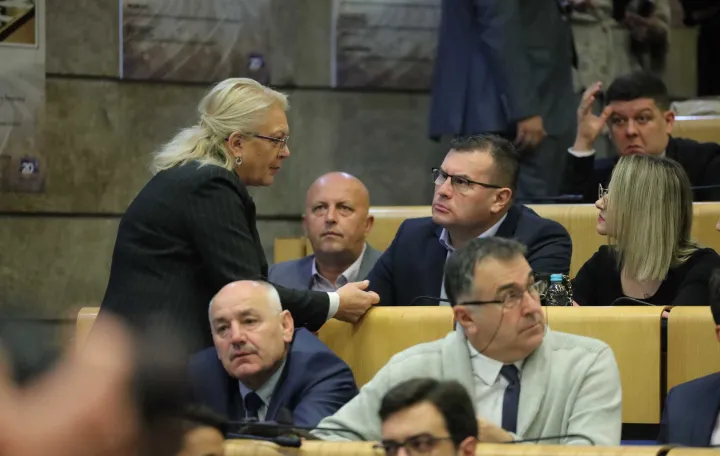 Predstavnički dom paralamenta FBiH/Senad Gubelić