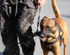 Prezentacija K9 jedinica iz BiH/Damir Deljo