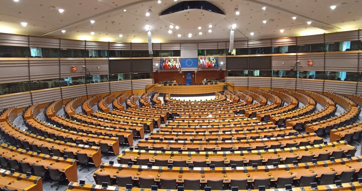 Evropski parlament upozorio je na brojne probleme/Matea JerkoviĆ