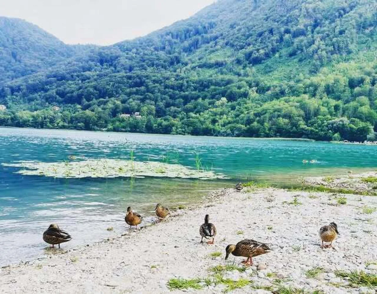 Boračko jezero/Eko Selo Boračko Jezero 