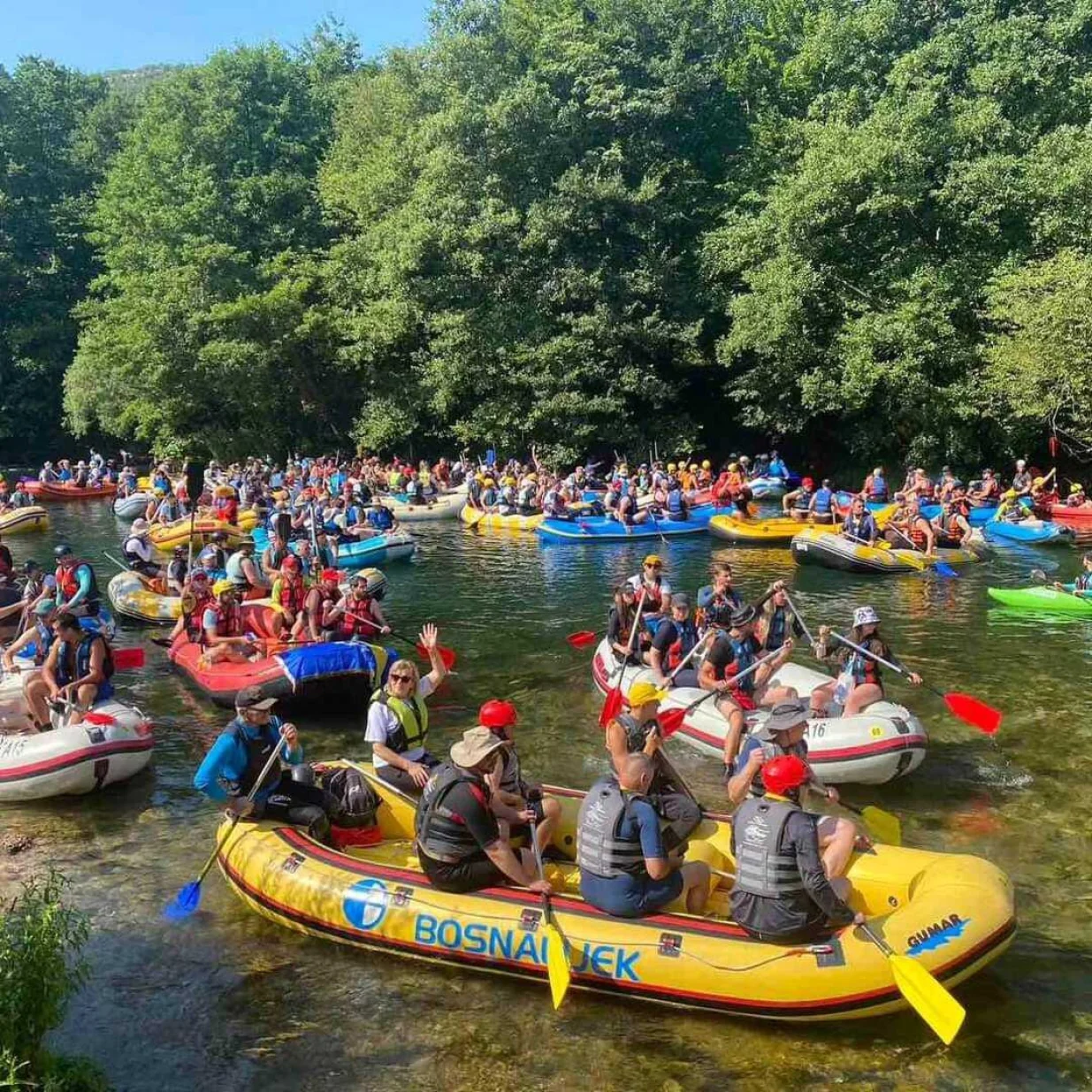 50 jubilarna Una regata/