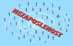 Jasmin Halebić: Brinite o zaposlenosti, a ne o budžetu/Benjamin Krnić
