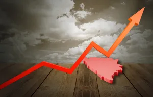 Kolumna Eldara Dizdarevića: Statistika (ne) pokriva divljanje cijena/Ilustracija/Benjamin Krnić