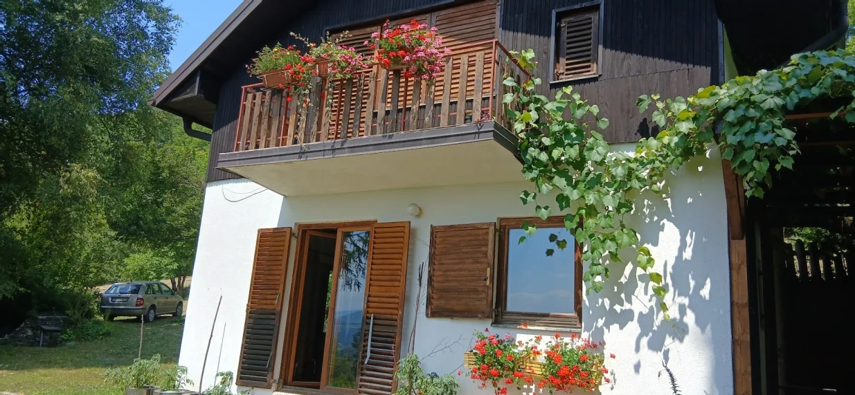 Vrtna idila - pergola sa lozom i puno drveća/