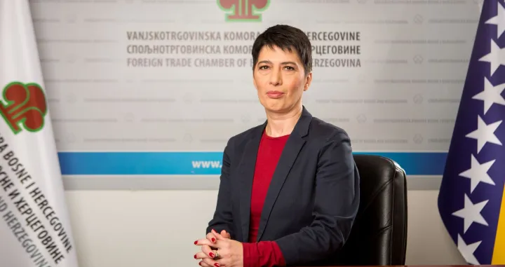 Ognjenka Lalović, sektor za privredu VTK BiH/