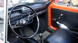 Mahalci okupljanje oldtajmeri automobili/Damir Deljo