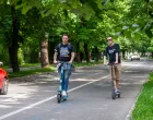 Trintoneti na Vilsonovom/Damir Deljo