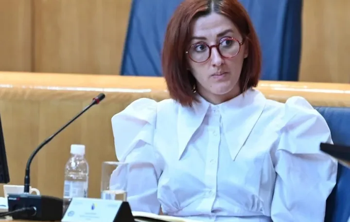 Anisa Mahmutović: Ima li odgovornosti za inspekcije?/