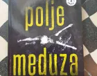 Domaće i/