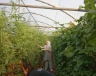 Zimnica &scaron;tićenici ZDK/