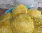 kupus za/