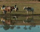Priroda_u_umjetnosti_i_umjetnost_u_prirodi. Slovenska kinoteka/