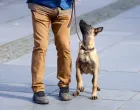 Prezentacija K9 jedinica iz BiH/Damir Deljo