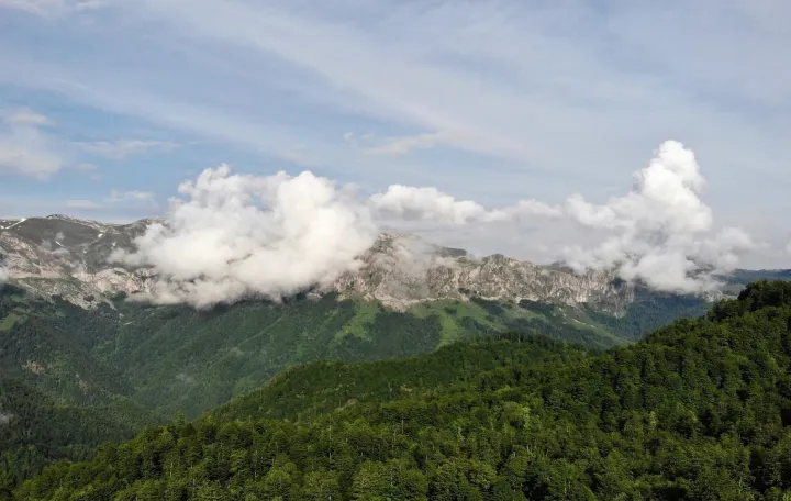 Foto baza, &Scaron;umski predjeli/