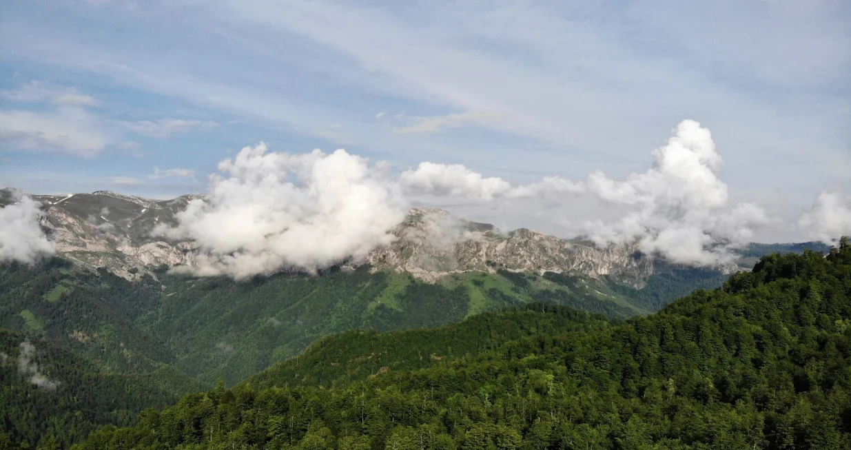 Foto baza, &Scaron;umski predjeli/