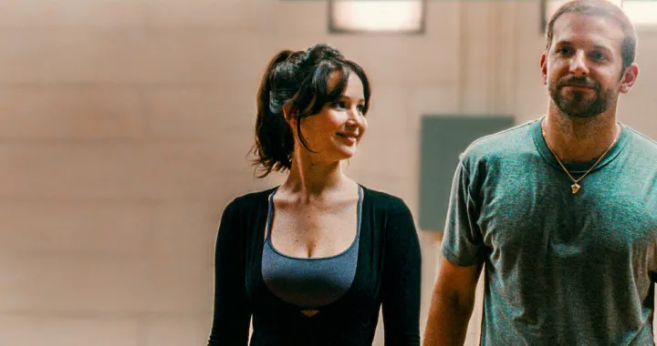 Silver Linings Playbook/