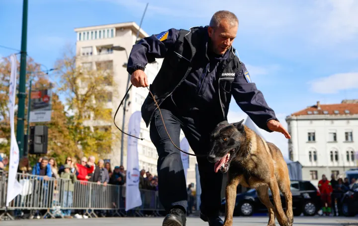 prezentacija vje&scaron;tina K9 jedinica iz BiH/Damir Deljo