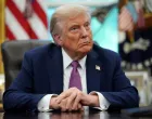 donald trump X/